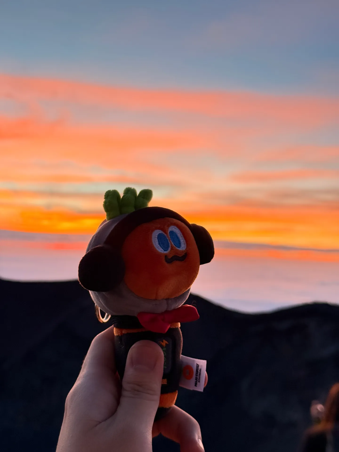 First Summit of Mt. Fuji!