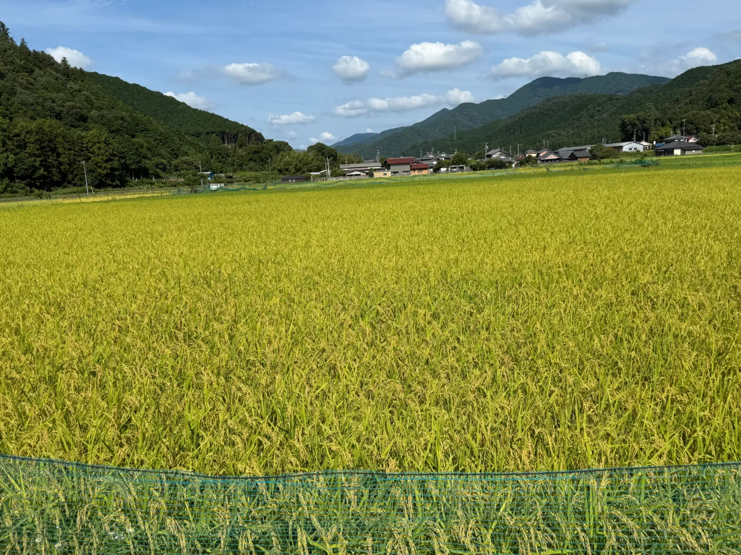 [Theory and Practice of Audiovisual Storytelling] MINPAKU,Japan