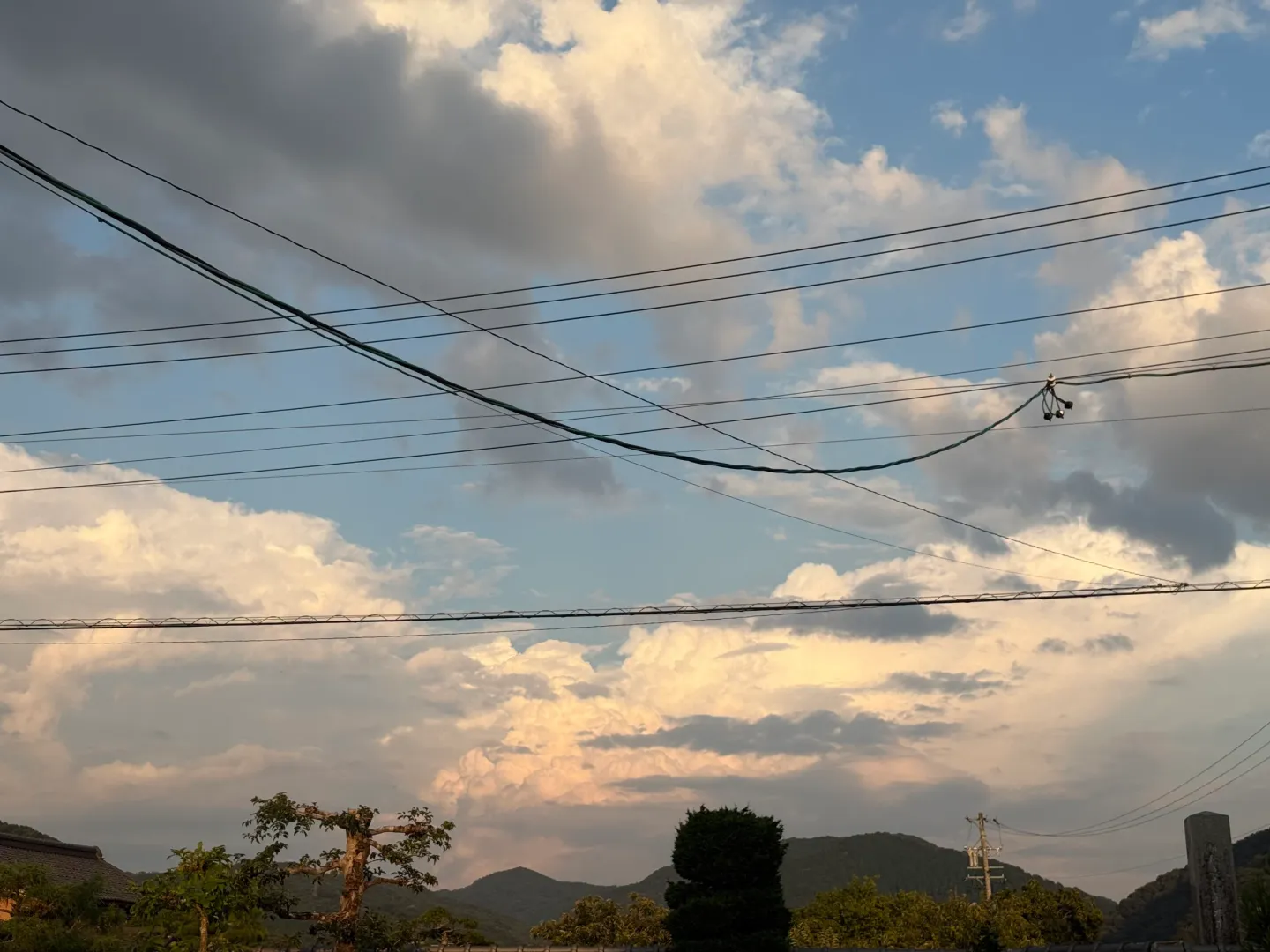 [Theory and Practice of Audiovisual Storytelling] MINPAKU,Japan